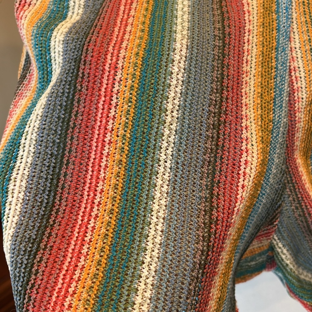 Striped Multicolored Mod Shorts - Picture 2 of 7